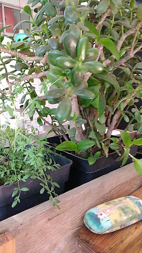 Comentarii opinii despre Cafetería Amadeira