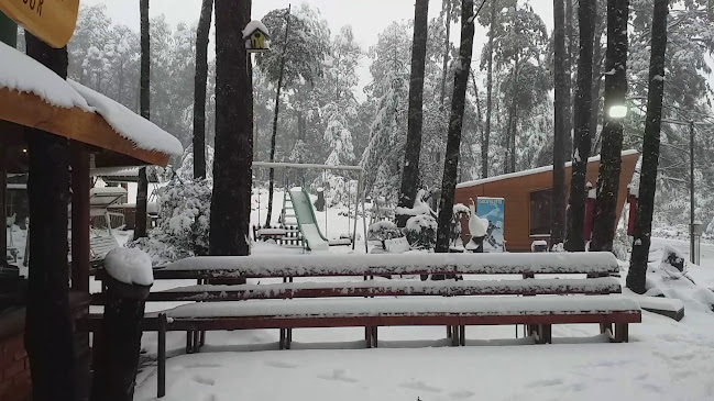 Opinii despre Refugio Sur în Araucanía - Gastronomía y hostelería