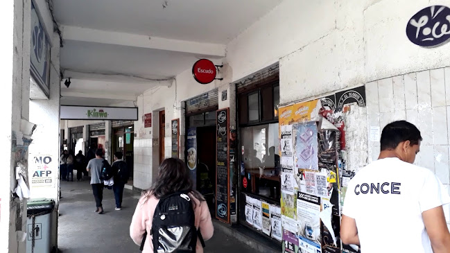 Pl. Perú 133, 4070119 Concepción, Bío Bío