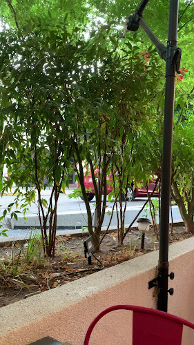 Opinii despre Chicken International Restaurant în Santiago - Gastronomía y hostelería