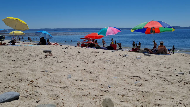 Unnamed Road,, Tome, Tomé, Bío Bío