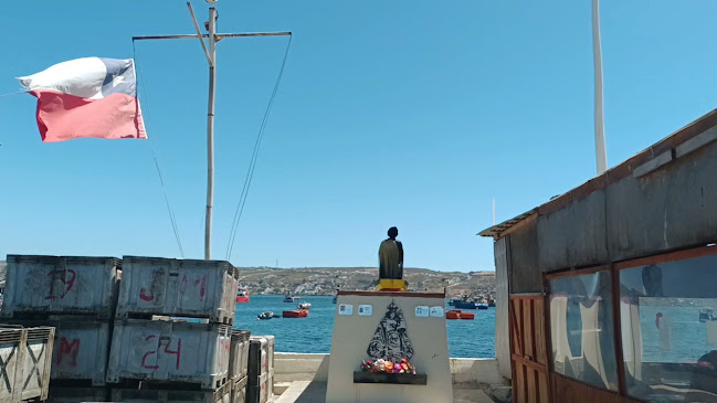 Caleta de Guayacán Phone number