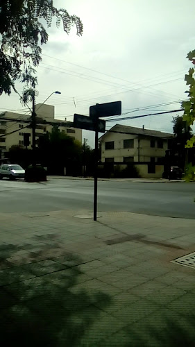 Vélo Panes y Pasteles Open Times