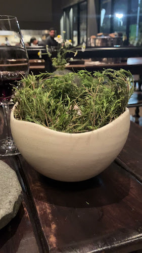 Comentarii opinii despre Boragó