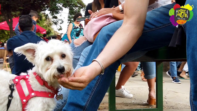 IL PAPARAZZO RISTORANTE & WINEBAR - Gastronomía y hostelería