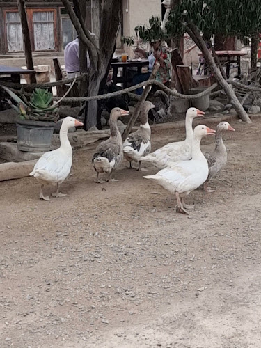 100000, 1000000, Arica y Parinacota