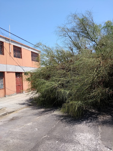 Comments and reviews of La Casa De La Empanada