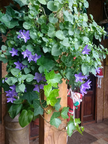 Agricola Balmoral Ltda