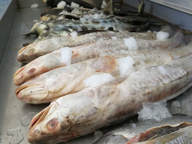 Opinii despre Con demanda en curso apropiación indebida în San Vicente de Tagua Tagua - Gastronomía y hostelería