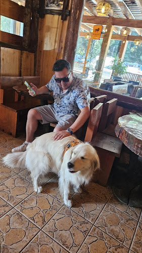 La Terraza Pub Restaurant - Gastronomía y hostelería