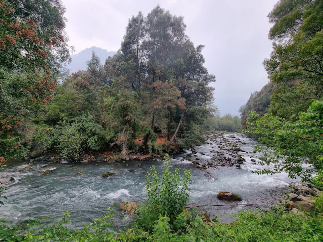 Comentarii opinii despre Termas Quilalelfu