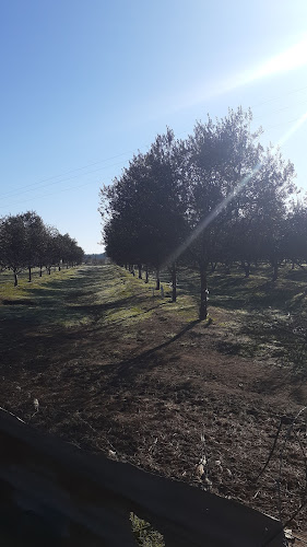 Agrícola Veghurt - Gastronomía y hostelería