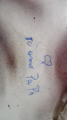 Xl Express - Gastronomía y hostelería