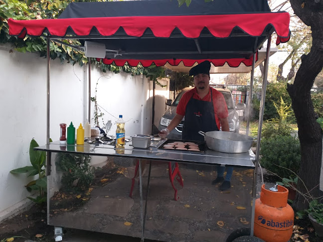 Antártica Chilena 1235, 8880595 Santiago, San Ramón, Región Metropolitana