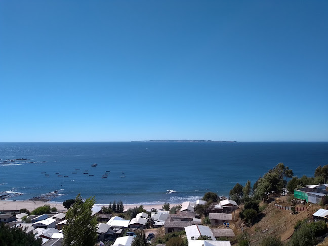Comments and reviews of Costa Pacifico
