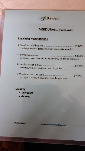 Domo Restaurant, Hualqui - Hualqui