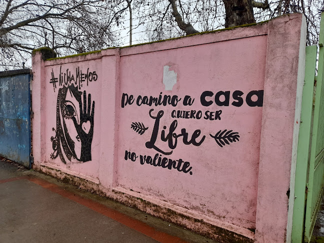Mercado Municipal de Traiguén Open Times