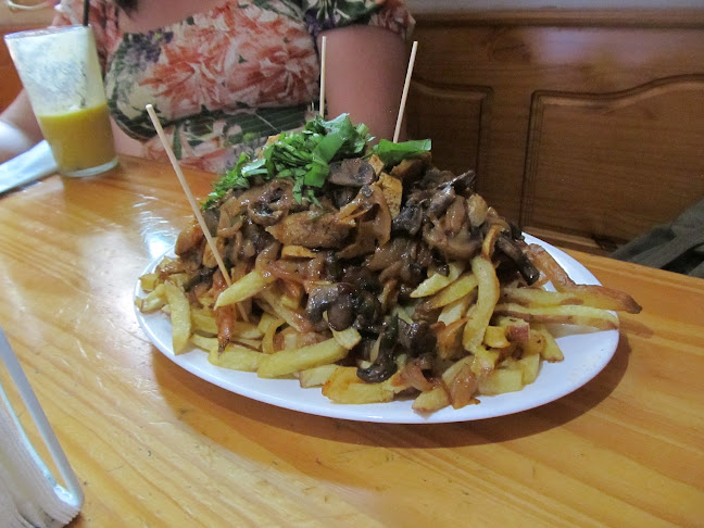 Fresia 529, 7501520 Providencia, Región Metropolitana