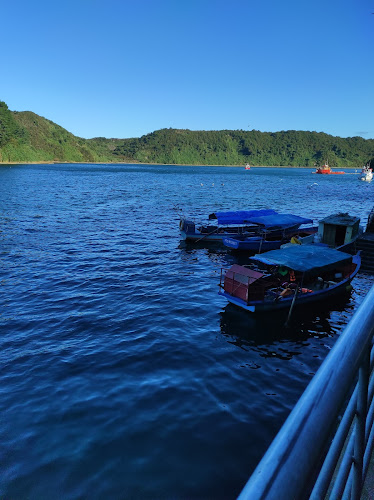 Cocineria El Pinguino. Local 39-C - Puerto Montt