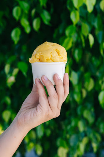 Helados Patagonia Open Times