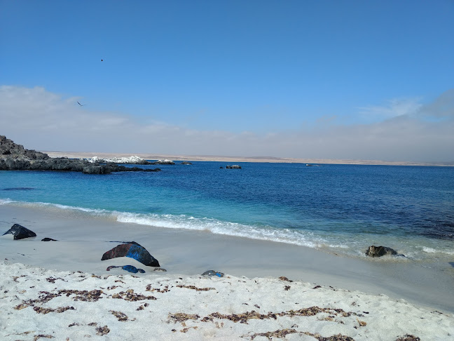 Comentarii opinii despre Bahia House