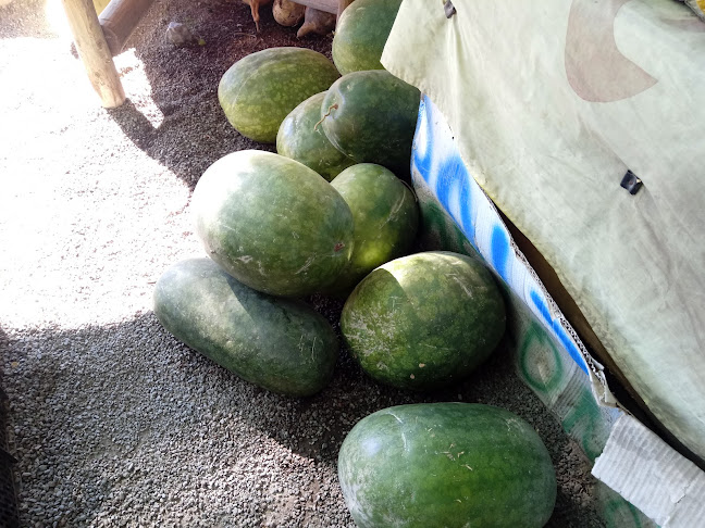 Comentarii opinii despre Hornitos de Punta Azul