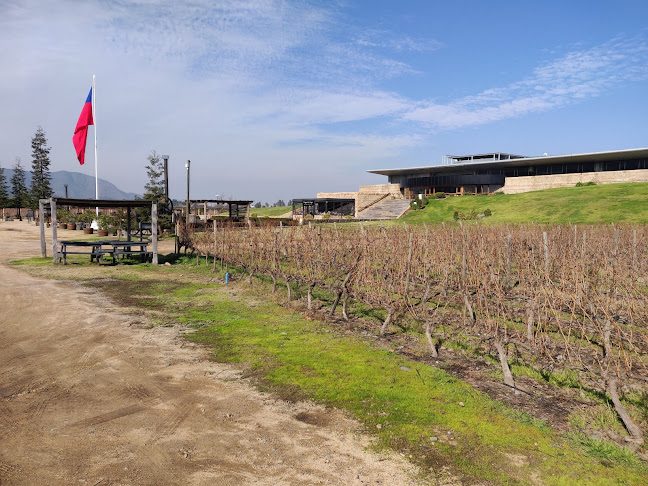 Viña Montes Alpha - Santa Cruz