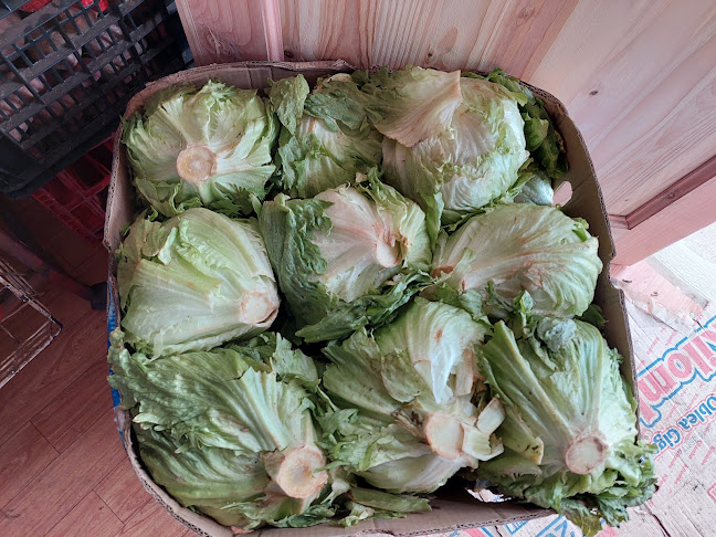 Minimarket Voy y Vuelvo - Araucanía