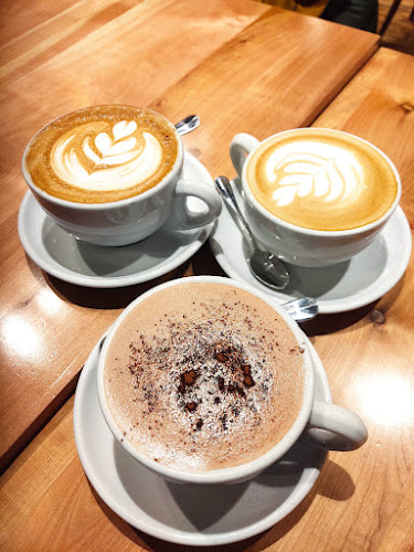 TAPIZ - Punta Arenas