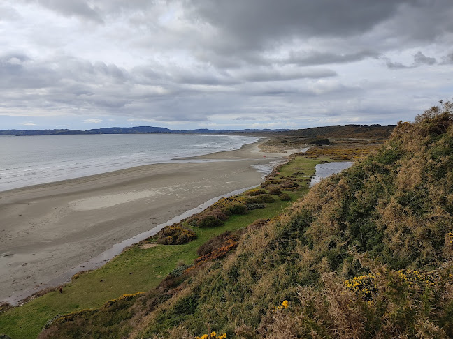 Cafeteria Run - Gastronomía y hostelería