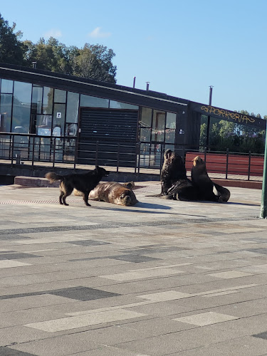 La Terraza Restaurant Gastronomía Marina - Gastronomía y hostelería