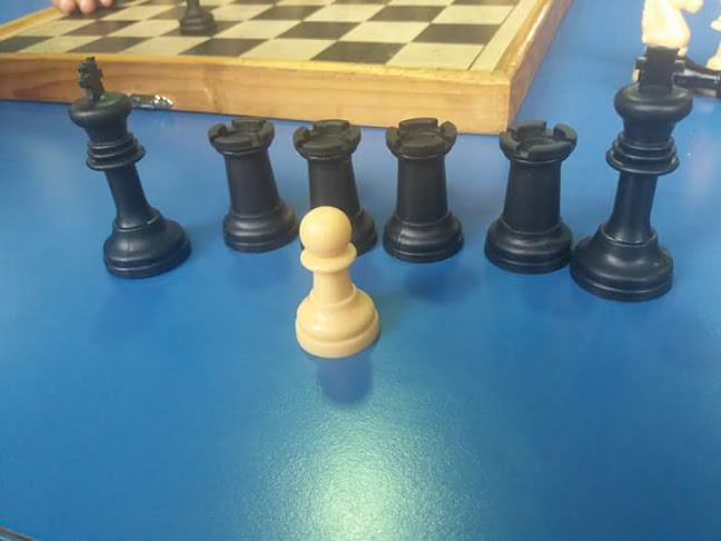 Flor De Loto - Los Angeles