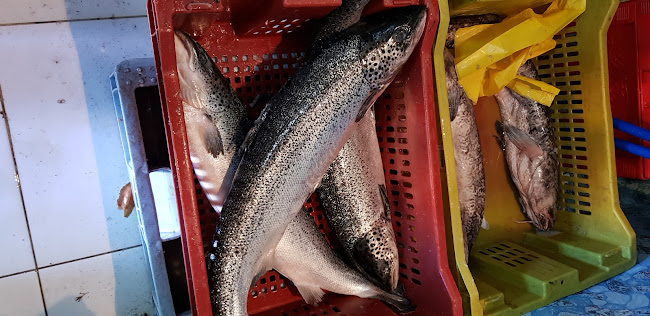 Pescadería donde Cachimbita - Villarrica