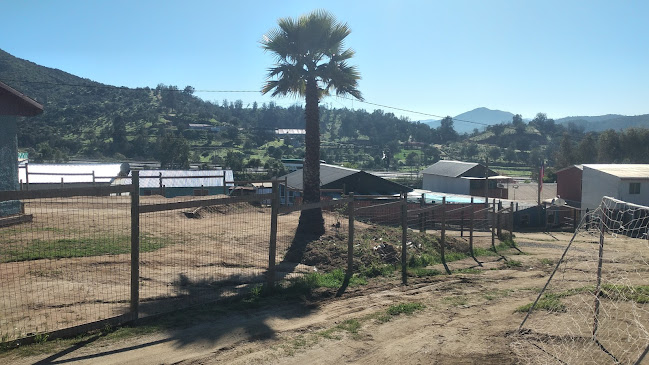 Paso La Playa - Gastronomía y hostelería