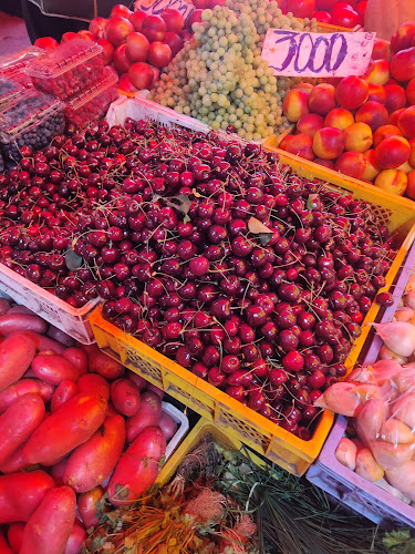 Feria Fluvial de Valdivia