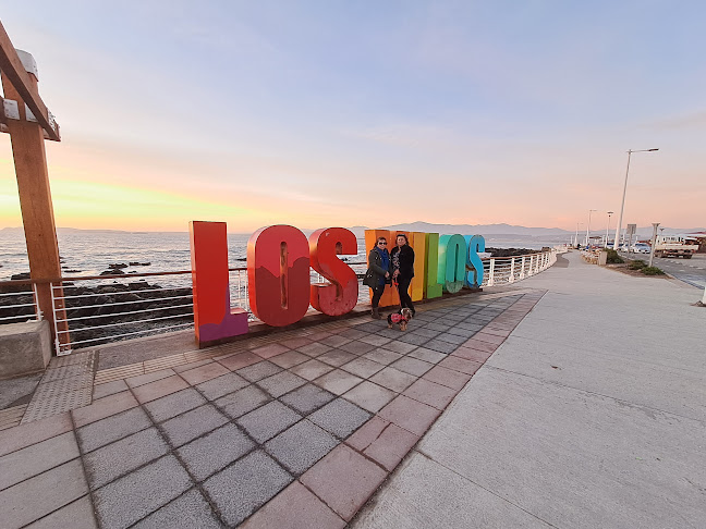 Los Vilos Restaurant - Gastronomía y hostelería