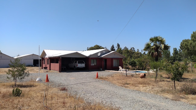 Shogun Restaurante Phone number