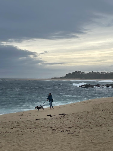 Av. Central, 2701755 Isla Negra, El Quisco, Valparaíso