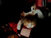 Colegio San Lorenzo de Tarapacá