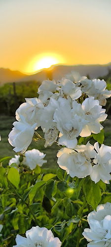 Opinii despre La Casita de Barreales în Santa Cruz - Gastronomía y hostelería