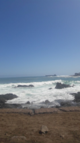 Kactus Pub Discoteque - Gastronomía y hostelería