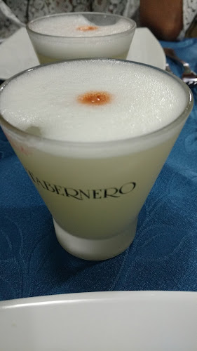 Gallito Roca - Viña del Mar