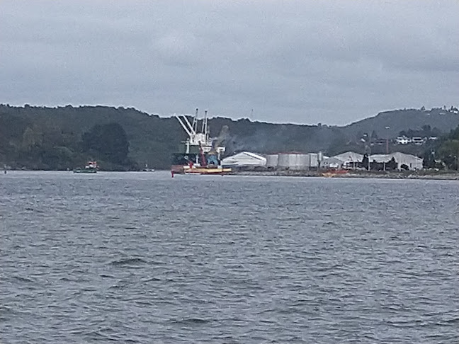 Juan Valdez - Puerto Montt Phone number