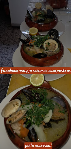 Klm 14 camino a quirihue sector cancha alegre pasado cruce coronel, 3690000 Cauquenes, Maule