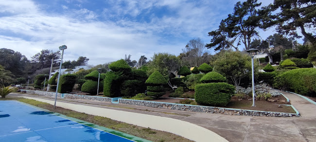 Comentarii opinii despre Centro Recreacional Pelancura PDI