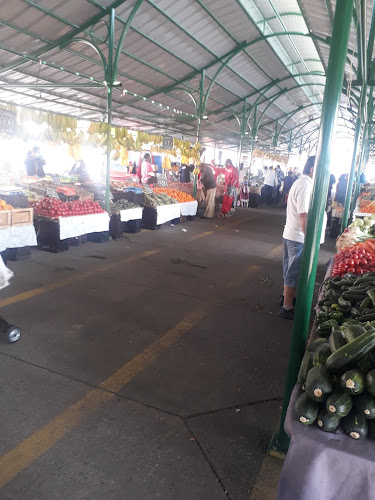 Ferias libres Phone number