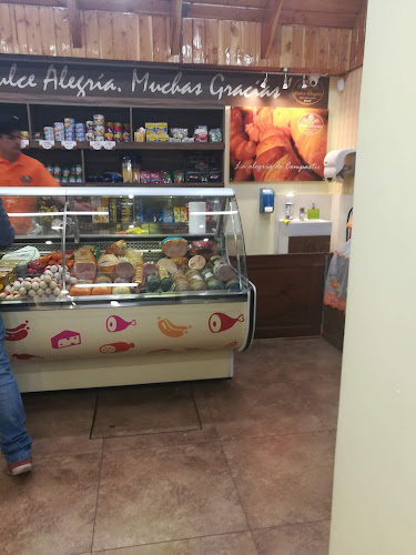 Av. San Carlos 440, 8150000 Puente Alto, Región Metropolitana