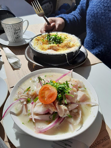 Prof. Zepeda, Coquimbo