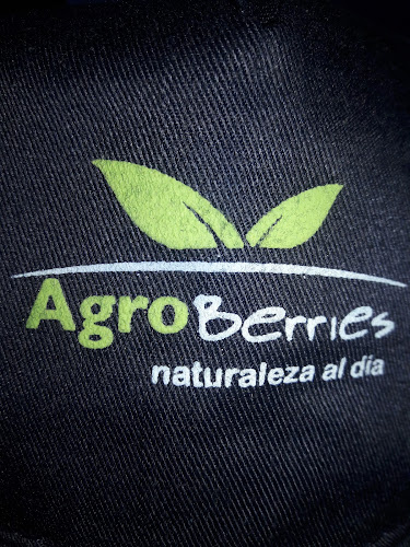 Opinii despre AgroBerries în Parral - Gastronomía y hostelería
