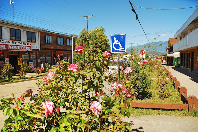 Arturo Prat 82, 5210000 Panguipulli, Los Ríos